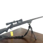 Savage Model 12 22-250